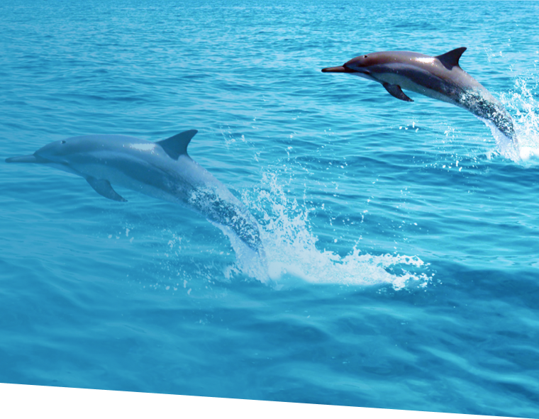 Синтез генов